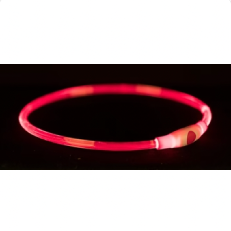 LED Halsband USB Silikon wiederaufladbar Rot